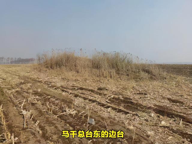 Rǧ_Ψһ_ǧ߅__(ki)ԭcD